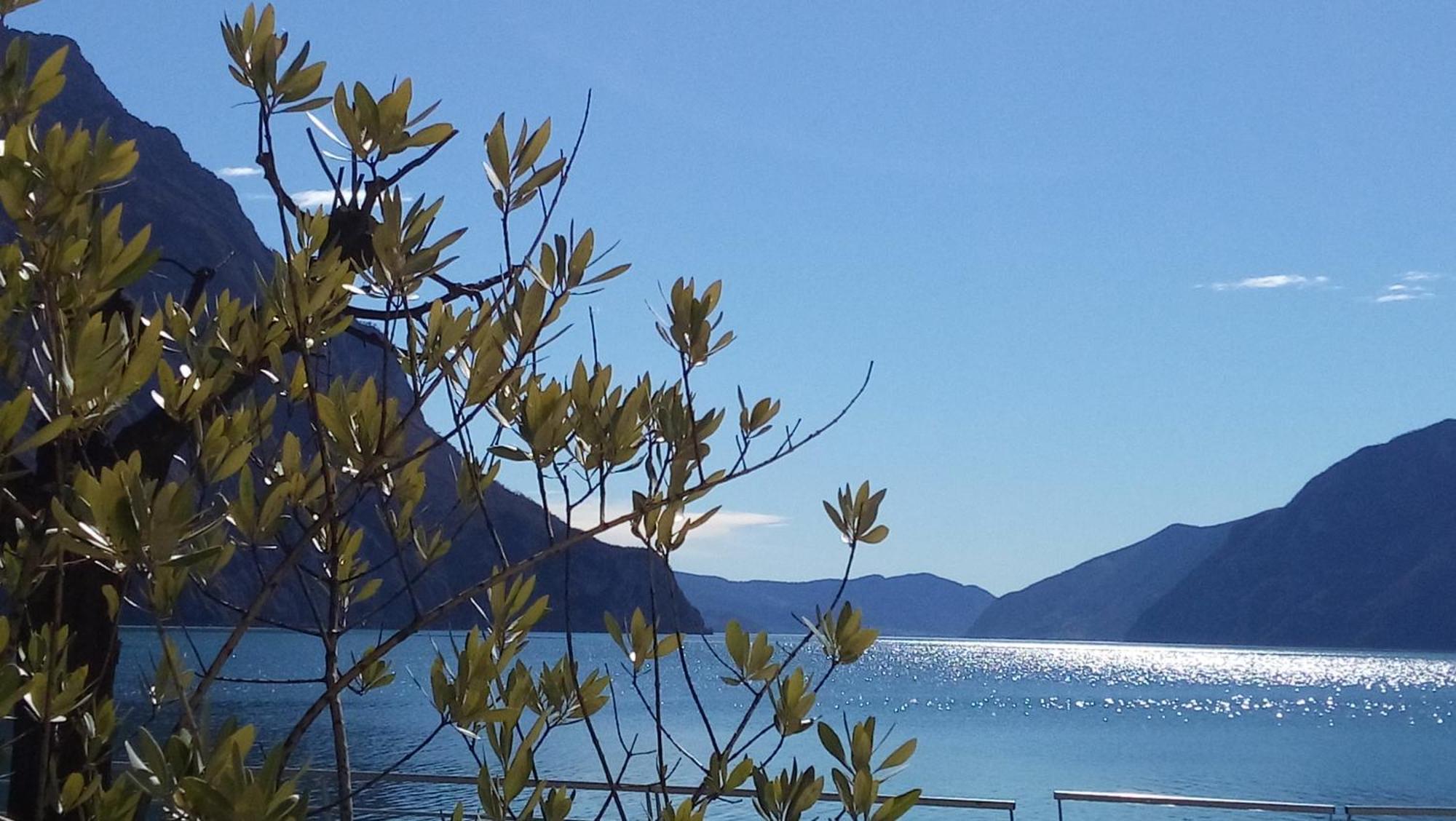 Ca Del Lac Castro  Exterior foto